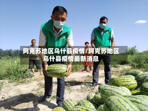 阿克苏地区乌什县疫情/阿克苏地区乌什县疫情最新消息-第3张图片